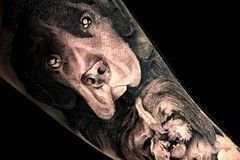 343294243_3401649613485281_2297727314603105371_n