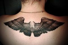 343332324_978719876874041_1532158151457226725_n