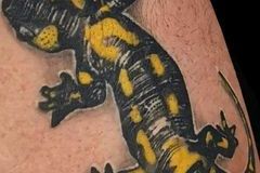 343598875_632586215035913_5432122261760423893_n